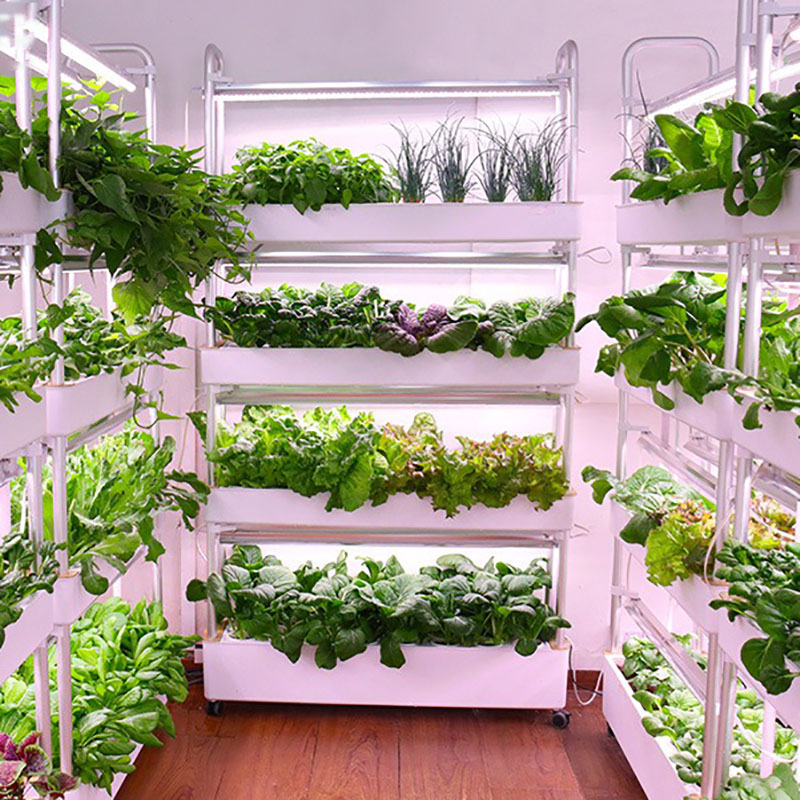 Hydroponic Tower Planter - Thủy Canh Phát Triển Hệ Thống