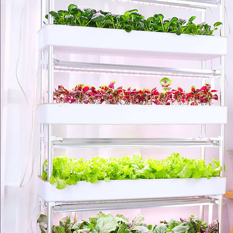 Thủy Canh Phát Triển Hệ Thống  - đánh giá và giá Hydroponic Tower Planter