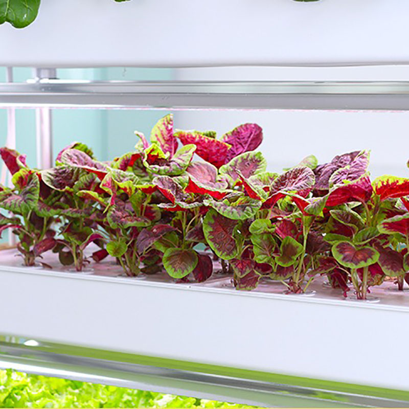 Thủy Canh Phát Triển Hệ Thống  - đánh giá và giá Hydroponic Tower Planter