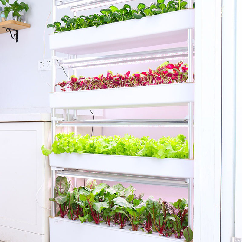 Thủy Canh Phát Triển Hệ Thống  - đánh giá và giá Hydroponic Tower Planter