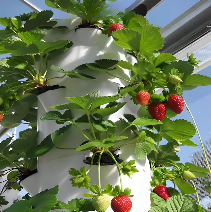 Modular hydroponic growth wall - đánh giá và giá Urban Farming Gardening