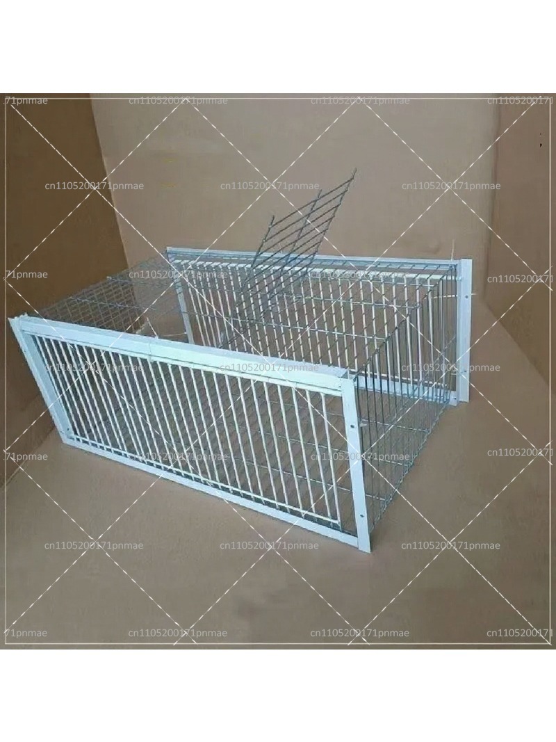 Professional Multifunctional B - đánh giá và giá Urban Farming Gardening