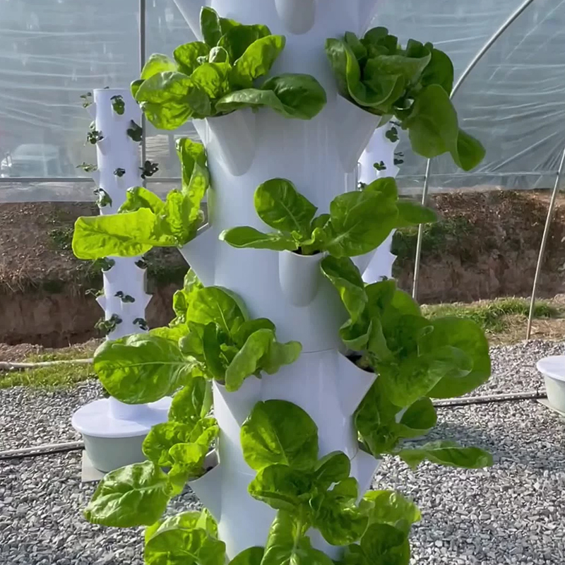 With Led Grow Light Space Tree - đánh giá và giá Hydroponic Tower Planter